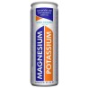 Magnesium & Potassium Drink ML250 x24 lattine Zaniboni