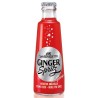 Ginger Spritz San Benedetto 0,18Lx24