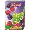 Morositas Berry Mora e Lampone Caramelle Astuccio 16 pezzi