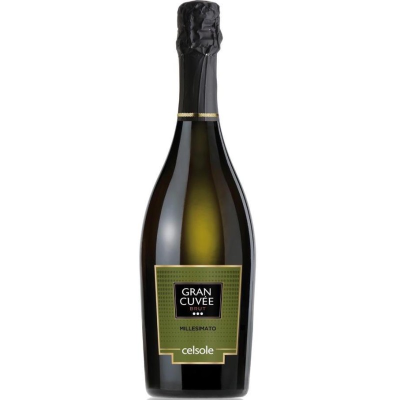 Millesimato Gran Cuvee Brut Celsole 75 cl Spumante Elegante per Grandi Occasioni