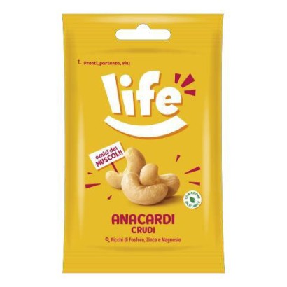 Anacardi Crudi Life da 30gr