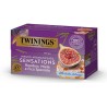 Twinings Infuso Aromatizzato Rooibos Miele Fico Speziato Confezione da 20 Filtri
