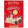 Sperlari Calendario Avvento Harry Potter, 200gr